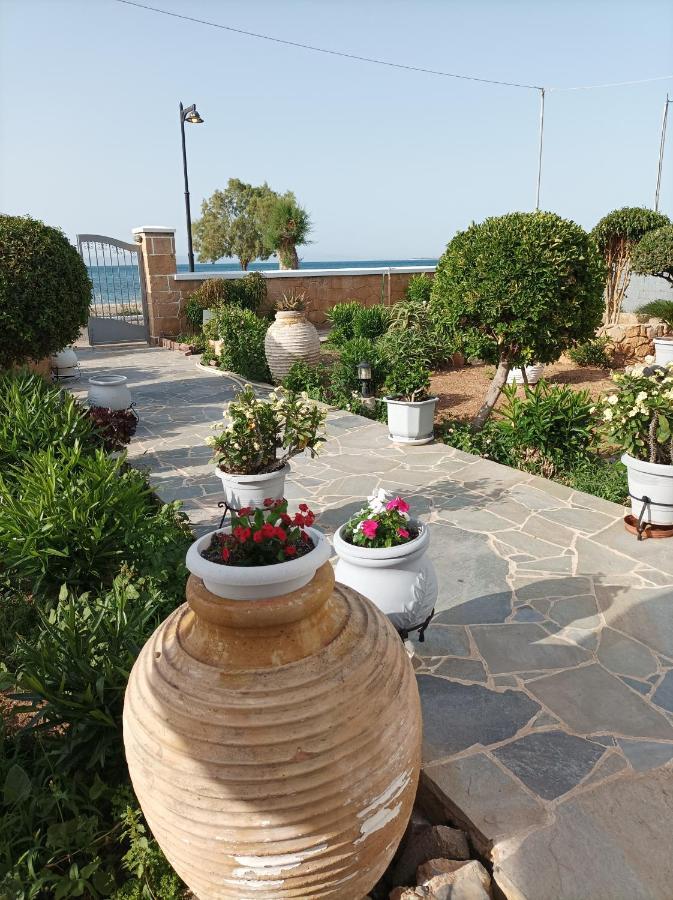 Studios Antoniou Skala  Luaran gambar
