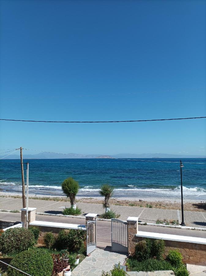 Studios Antoniou Skala  Luaran gambar