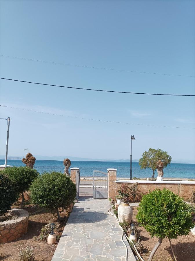 Studios Antoniou Skala  Luaran gambar