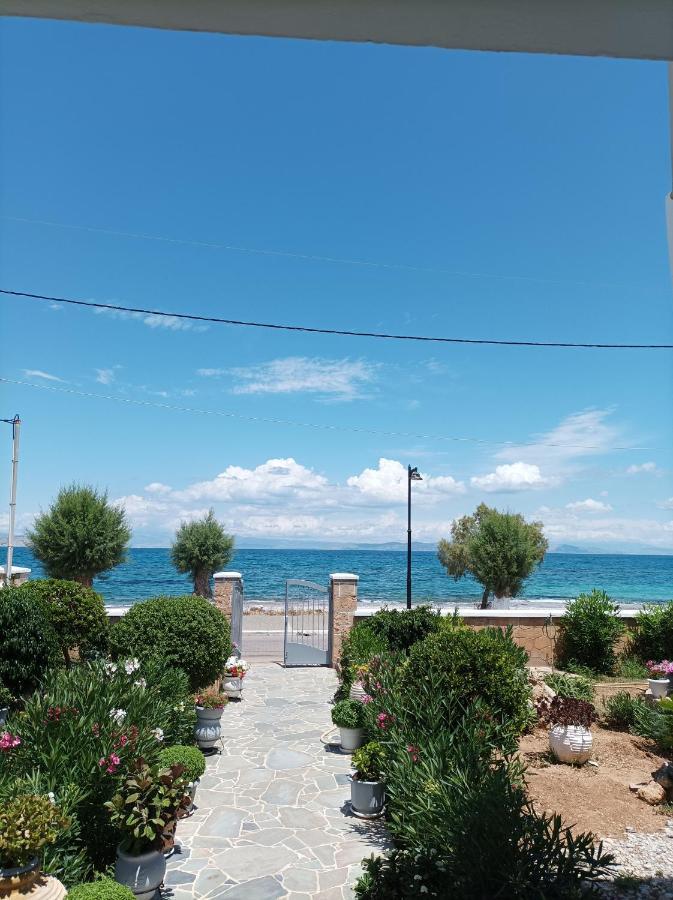 Studios Antoniou Skala  Luaran gambar